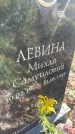 Захоронение ID 5043415