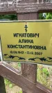 Захоронение ID 5043491