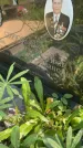 Захоронение ID 5132571