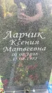 Захоронение ID 5459676