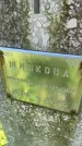 Захоронение ID 5459730