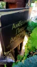 Захоронение ID 5459807