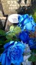 Захоронение ID 5459870