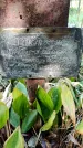 Захоронение ID 5460099