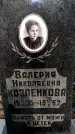 Захоронение ID 5460110