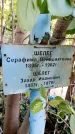 Захоронение ID 5460112