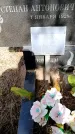 Захоронение ID 5460124