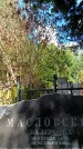 Захоронение ID 5460125