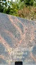 Захоронение ID 5460178