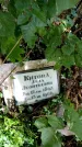 Захоронение ID 5460259