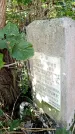 Захоронение ID 5460260