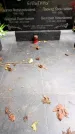 Захоронение ID 5471765