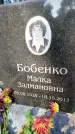 Захоронение ID 5633104