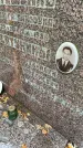 Захоронение ID 5724411