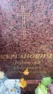 Захоронение ID 5727271