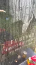 Захоронение ID 5728662