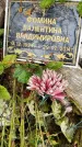 Захоронение ID 5815094