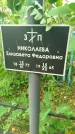Захоронение ID 5858874