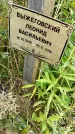 Захоронение ID 6148233