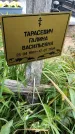 Захоронение ID 6148255