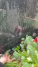 Захоронение ID 6148266