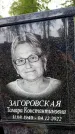 Захоронение ID 6339668