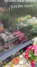 Захоронение ID 6339705