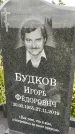 Захоронение ID 6339748