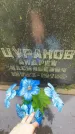 Захоронение ID 6339762