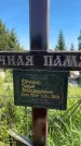 Захоронение ID 6339990