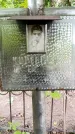Захоронение ID 6340084