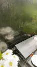 Захоронение ID 6340276