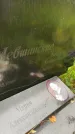 Захоронение ID 6340277