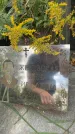 Захоронение ID 6340346