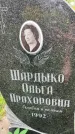 Захоронение ID 6340355