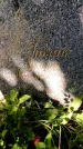 Захоронение ID 6340396