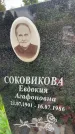 Захоронение ID 6340402