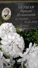 Захоронение ID 6340607