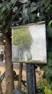 Захоронение ID 6340670
