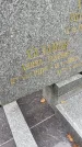 Захоронение ID 6340730