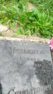 Захоронение ID 6340889