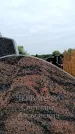 Захоронение ID 6340980