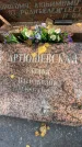 Захоронение ID 6341062