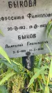 Захоронение ID 6341151