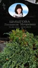 Захоронение ID 6341164
