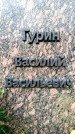 Захоронение ID 6341189