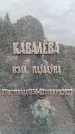 Захоронение ID 6341218