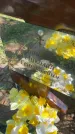 Захоронение ID 6341263
