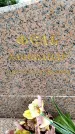 Захоронение ID 6341337