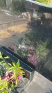 Захоронение ID 6341398